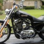 2009 Harley Sportster 1200 Custom Raffle!
