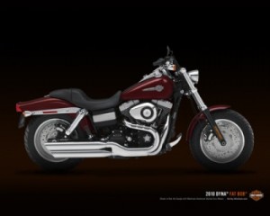 2010 Harley Fat Bob