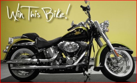 Two Gals 2011 H.D. Softail 